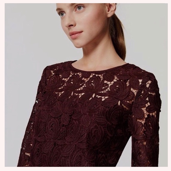 NWT LOFT Wine Lace Cocktail Dress - Picture 3 of 5